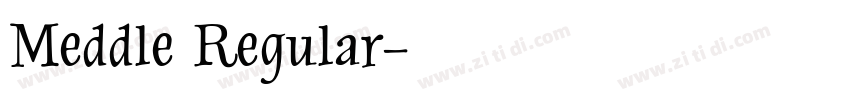 Meddle Regular字体转换